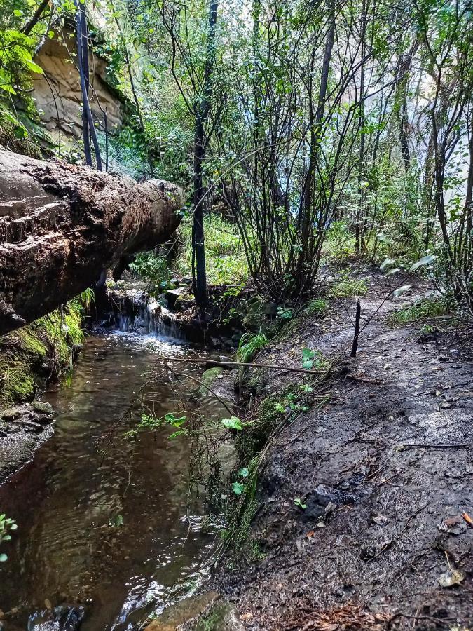 Forest Lane Clarens Buitenkant foto